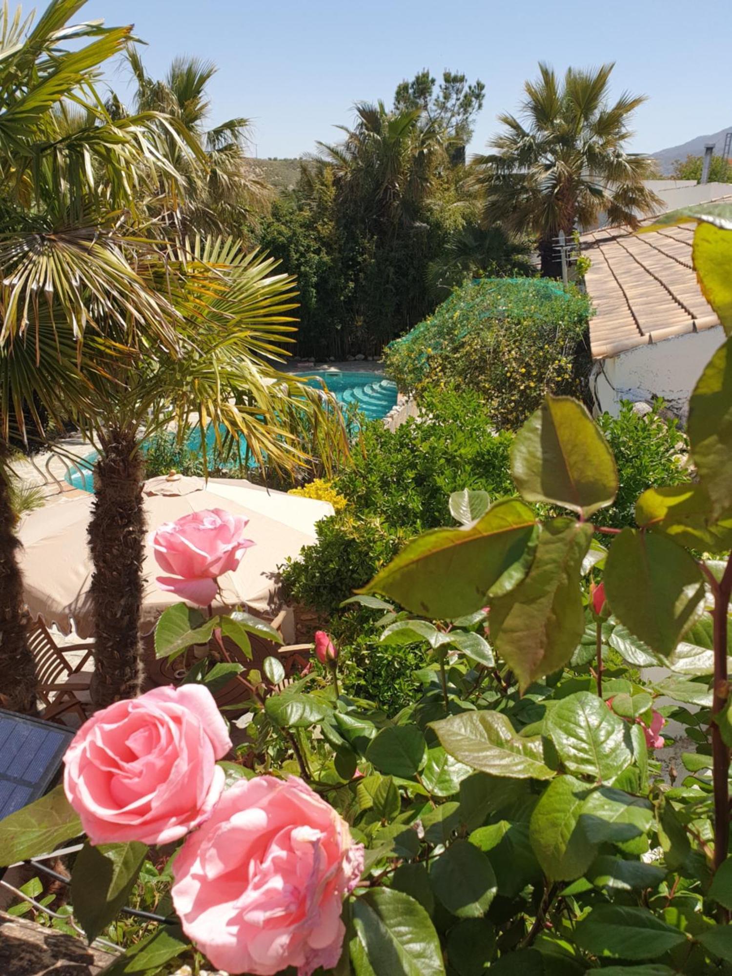 Cortijo Paraiso Charcon Higuera Buitenkant foto